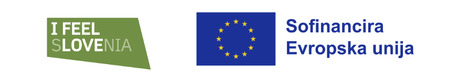 Logota  eu in i feel